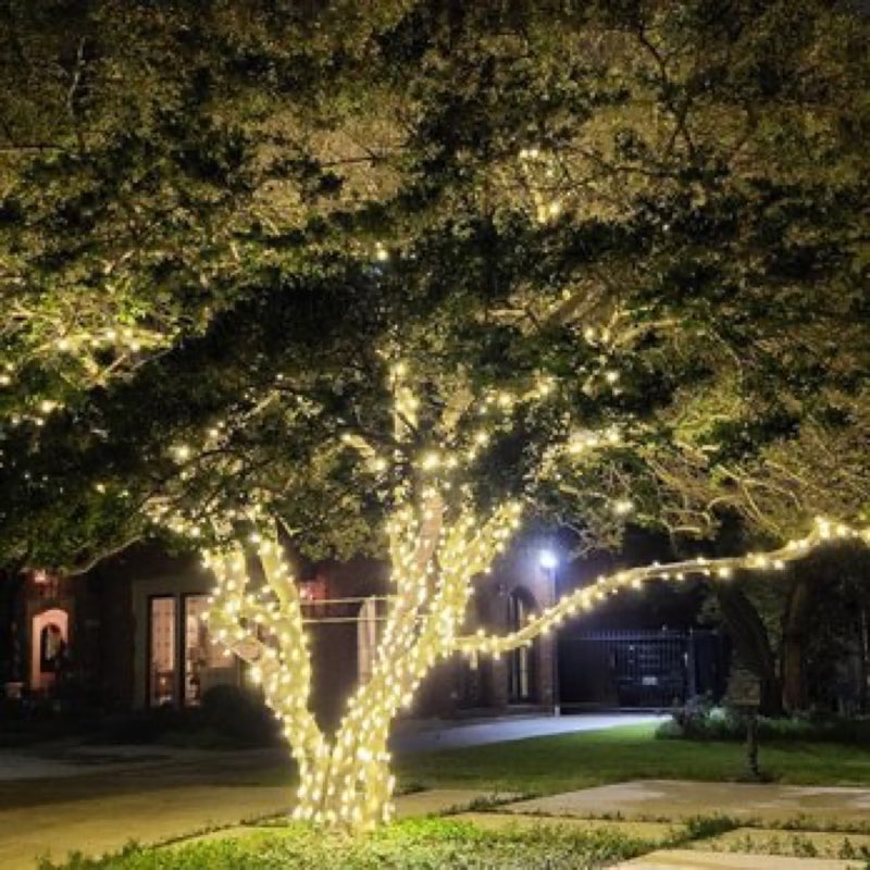 {SERVICE_NAME} project in Euless